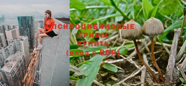 прущая мука Орск